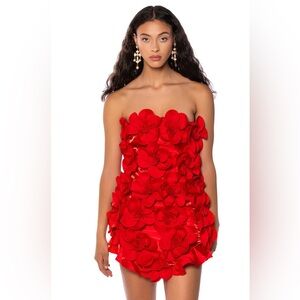 SOLD OUT NWT Akira Red She’s A Masterpiece Floral Mini Dress Size: Small